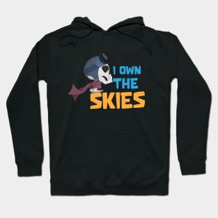 I own skies Hoodie